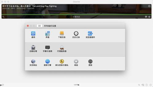 平板新款爆料视频下载软件,新款爆料视频下载软件深度解析